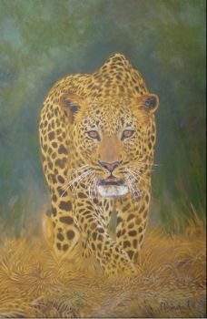 "Leopard"