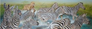 "Zebra crossing"