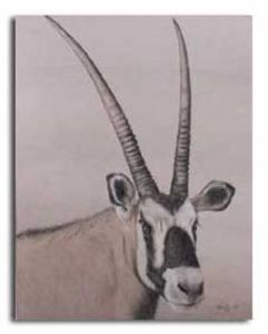 "Gemsbok"