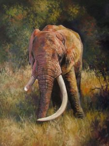 "Letaba 1"