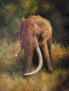 "Letaba 1"