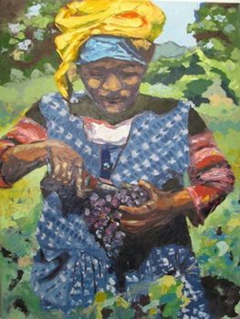 "Xhosa Woman Picking Grapes"