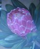 "Protea 4"