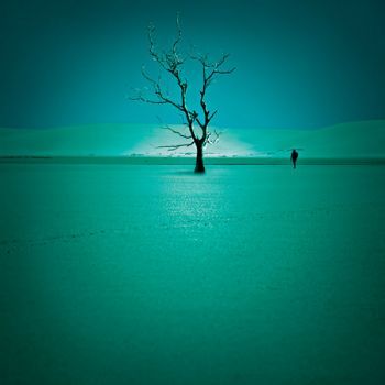 "Dreaming"