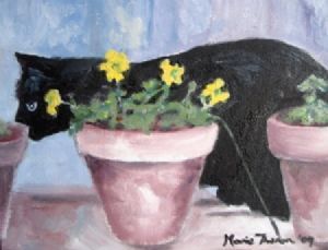 "Felix hiding in the Garden"