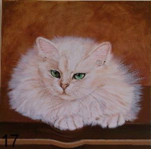 "White Cat"