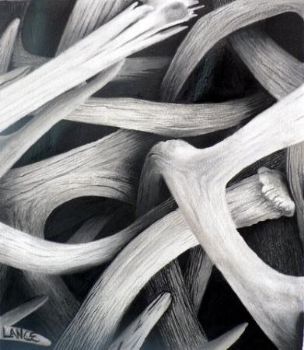 "Driftwood"