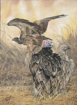 "Vultures"