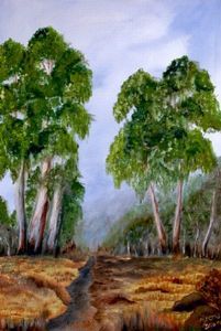 "Gum Trees in Valley"