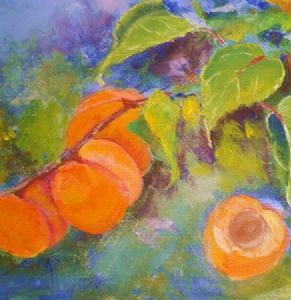 "Apricot"