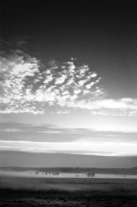 "Early Morning"