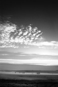 "Early Morning"