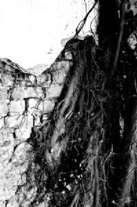 "Broken Walls"