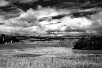 "Underberg #2"