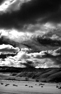 "Underberg #3"