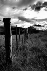 "Underberg #5"