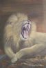 "King of the Jungle"
