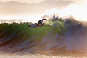 "The Surfer #1"