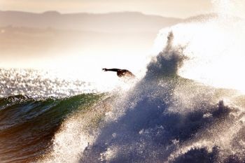 "The Surfer #10"
