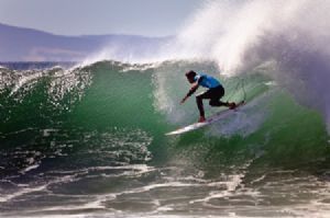 "The Surfer #13"