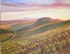 "Vineyard Near Darling"