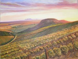 "Vineyard Near Darling"