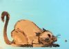 "Cat2"