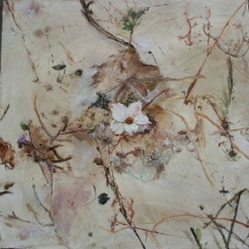 "Monsonia Spesiosa"