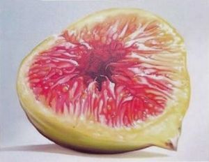 "Yellow Fig"