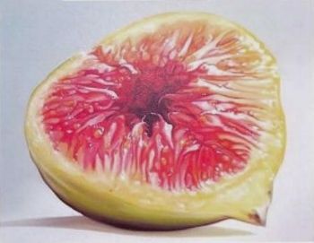 "Yellow Fig"