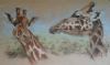 "Giraffe in pastel"