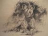 "Wild Dog in Charcoal"