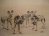 "Wild Dogs in Charcoal"