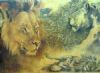 "Lion study"
