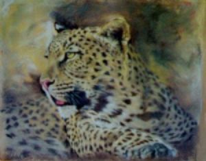 "Leopard in pastel"