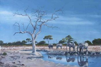 "Savuti"