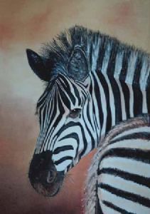 "zebra, head"