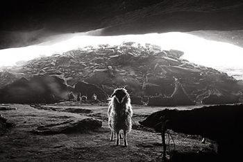 "Scapegoat"