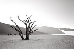 "Sossusvlei, Namibia"