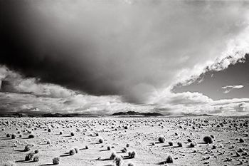 "Clearing Storm, Namib"