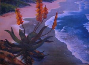 "Lookout Beach"