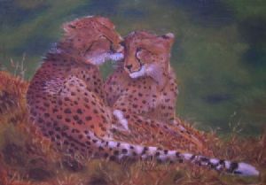 "Tenderness"