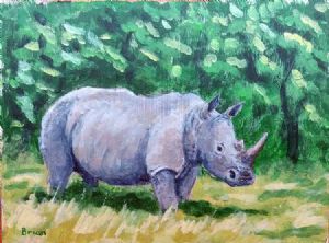 "White Rhino"