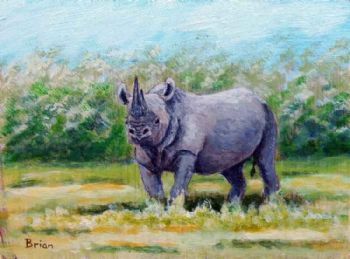 "Black Rhino"