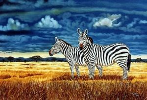 "Zebras"