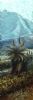"Aloe Ferox (and sleeping beauty)"