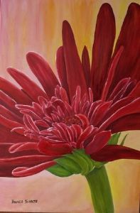 "Gerbera"