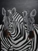"Resting Zebra"