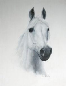 "Arab Portrait #3"