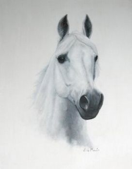 "Arab Portrait #3"